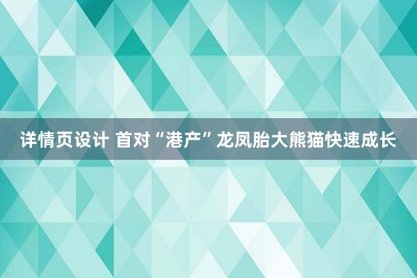 详情页设计 首对“港产”龙凤胎大熊猫快速成长