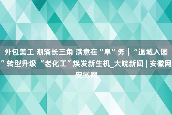 外包美工 潮涌长三角 满意在“阜”务｜“退城入园”转型升级 “老化工”焕发新生机_大皖新闻 | 安徽网